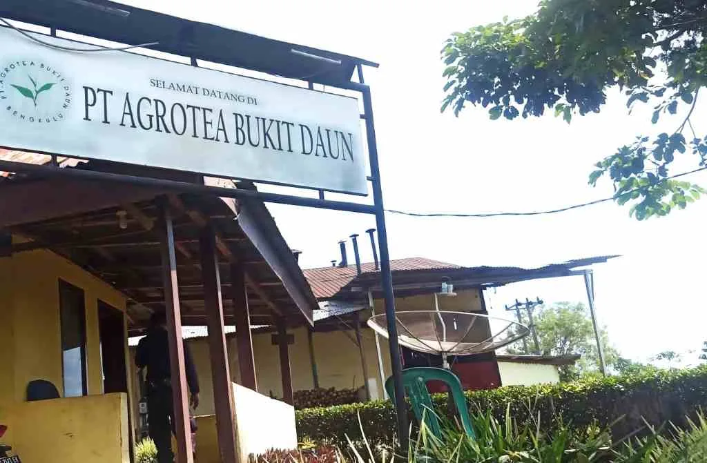Polda Bengkulu Mulai Proses Dugaan Korupsi PT Agrotea Bukit Daun Rejang Lebong