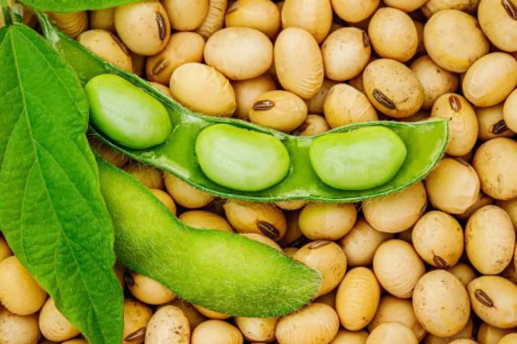 Rupiah Menguat, Harga Kedelai Impor Kudus Makin Murah