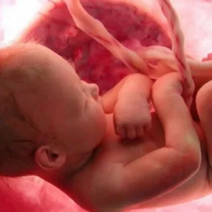 Bahasa Ibu Pengaruhi Kadar Oksitosin dan Perkembangan Sosial Bayi Bahasa Ibu Pengaruhi Kadar Oksitosin dan Perkembangan Sosial Bayi