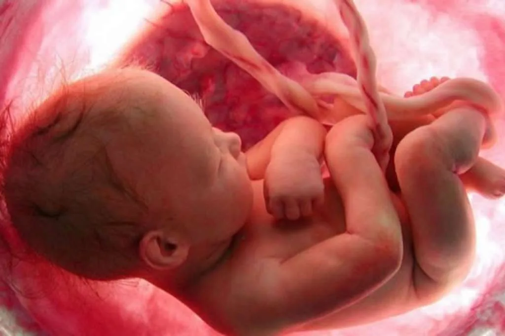 Bahasa Ibu Pengaruhi Kadar Oksitosin dan Perkembangan Sosial Bayi