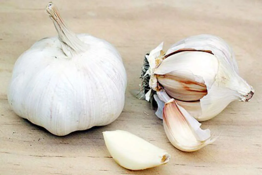Bawang Putih, Bumbu Dapur dengan Segudang Manfaat Kesehatan