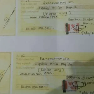 Cabup Seluma Teddy Rahman Terima Uang Titipan 20 Miliar Tes CPNS