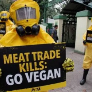 Cegah Penyakit Zoonosis, Relawan PETA Gelar Aksi Tolak Pasar Hewan