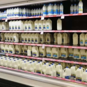 Harga Murah Susu Impor Kalahkan Produk Lokal, Pemerintah Didesak Bertindak