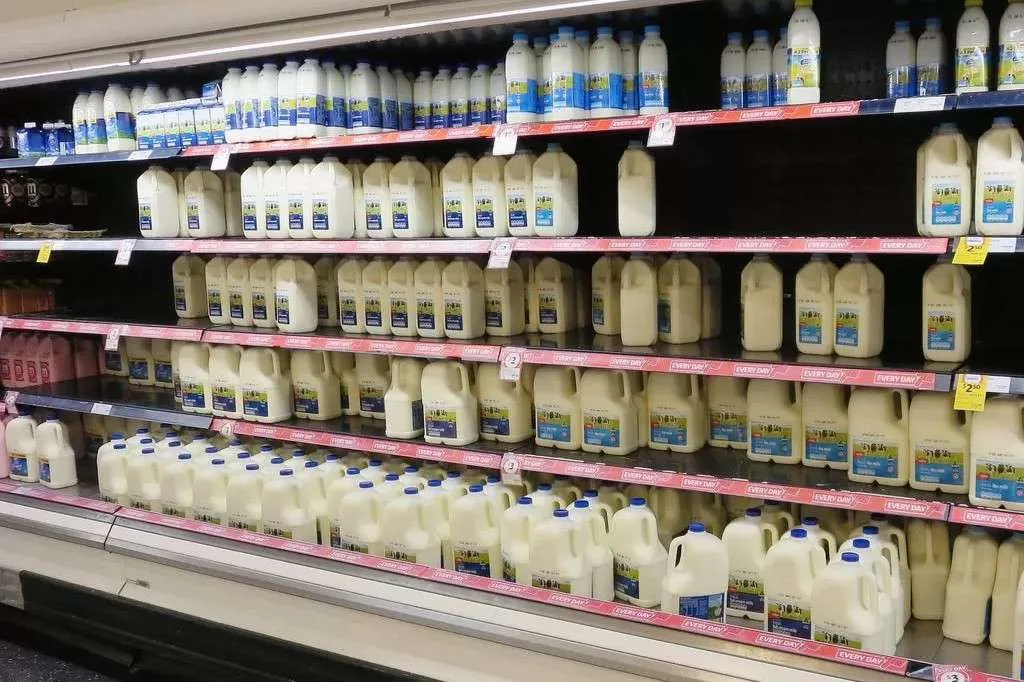 Harga Murah Susu Impor Kalahkan Produk Lokal, Pemerintah Didesak Bertindak