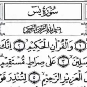 Keutamaan Surah Yasin sebagai Penarik Rezeki dan Tata Cara Amalannya Keutamaan Surah Yasin sebagai Penarik Rezeki dan Tata Cara Amalannya