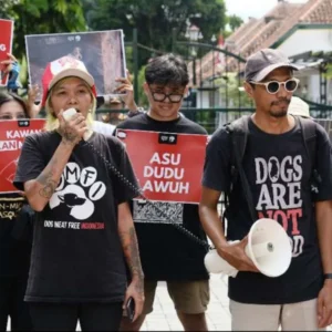Koalisi DMFI dan Warga Serukan Larangan Perdagangan Daging Anjing di DIY