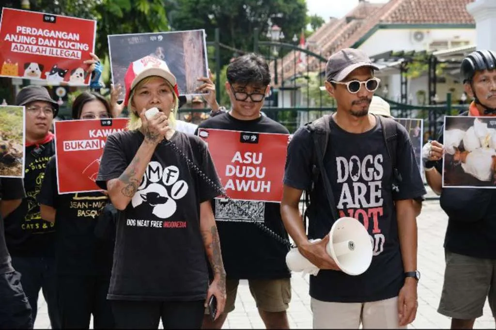 Koalisi DMFI dan Warga Serukan Larangan Perdagangan Daging Anjing di DIY