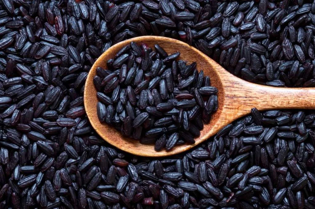 Manfaat Beras Hitam untuk Pencernaan dan Kekebalan Tubuh