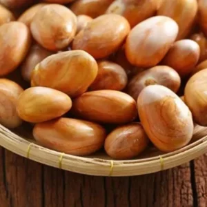 Manfaat Sehat Biji Nangka, Camilan Bergizi untuk Kesehatan dan Kecantikan