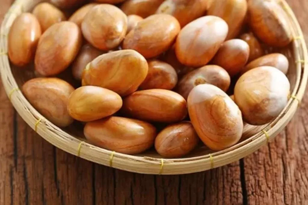 Manfaat Sehat Biji Nangka, Camilan Bergizi untuk Kesehatan dan Kecantikan