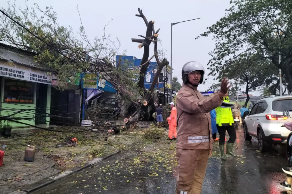 Pohon Besar Tumbang di Joglo Saat Hujan Deras Mengguyur Jakarta