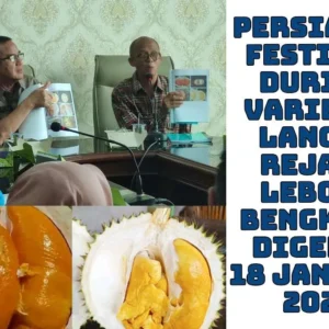 Festival Durian Langka Ke-2 di Rejang Lebong Akan Dihadiri Menteri Pertanian