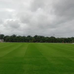 Mengulik Rumput Sintetis di Bengkulu Yang Habiskan 1,4 Miliar Uang Negara Wow, Rumput Sintetis di Bengkulu Ini Habiskan 1,4 Miliar Uang Negara