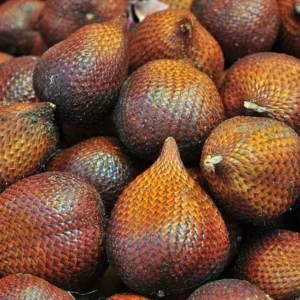 Rahasia Kesehatan di Balik Manisnya Buah Salak