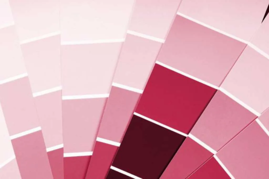 Sejarah dan Kontroversi Warna Pink dalam Gender