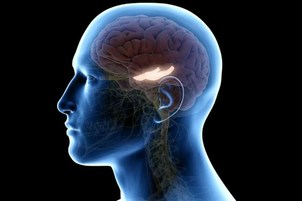 7 Kebiasaan Buruk Ini Bisa Merusak Otak dan Memicu Penyakit