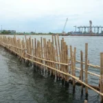 Lagi, Pagar Bambu Misterius Kini Muncul di PIK 1 Jakarta Utara