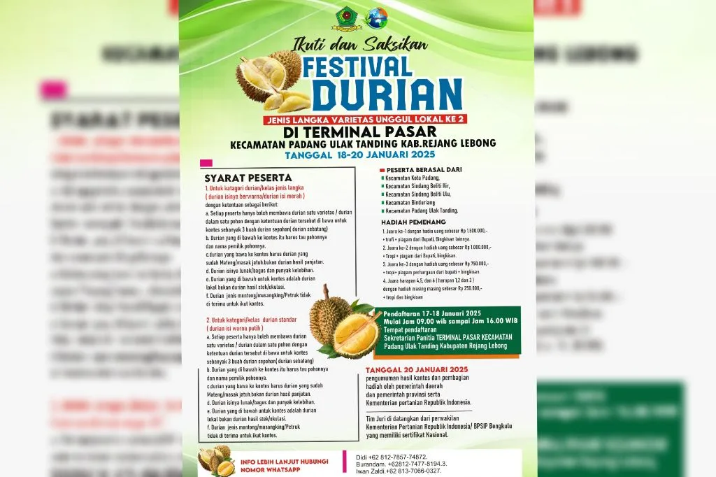 Panitia Festival Durian Bengkulu Masif Sebar Undangan dan Pamflet