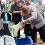 Program Ketahanan Pangan, Polres Tegal Kota Panen Perdana Ikan Lele