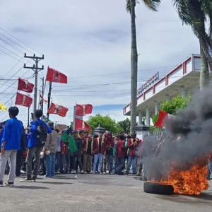 Aksi Demontrasi Aliansi Bumi Raflesia Melawan Diwarnai Bakar Ban dan Teriakan Bumi Raflesia