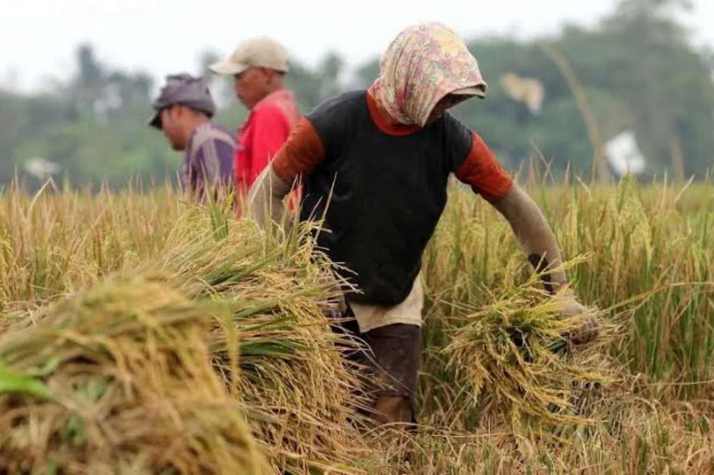 Ditengah Kebisingan Aksi Demo Mahasiswa, Diam-diam BULOG Torehkan Capaian Kinerja Luar Biasa