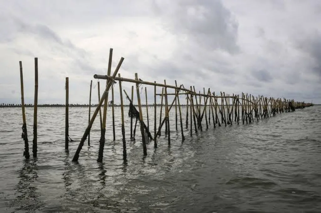 Kasus Pagar Laut Senyap, Kasus Pertamina Mencuat: Pengalihan Atau Kebetulan?