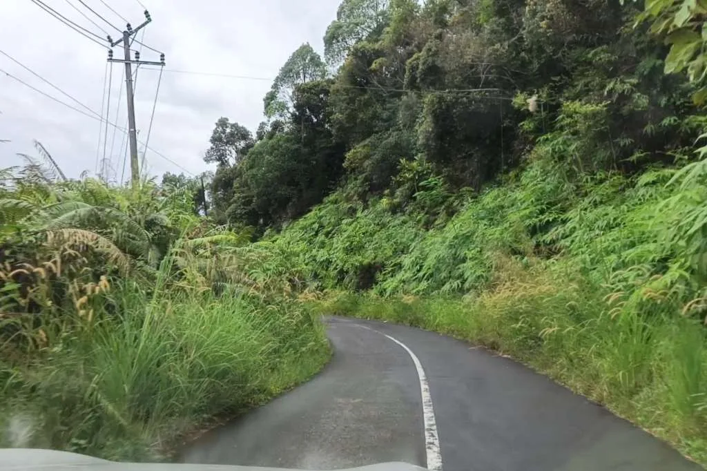 Kemana Anggaran Tebas Bayang Bukit Resam Bengkulu: dari 2024 Tidak Dibersihkan