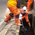 Opini Publik: Rekrutmen PPSU Berbayar, Cermin Buram Tata Kelola Birokrasi