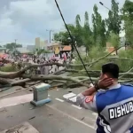 Pohon Beringin Tumbang saat Warga Salat Ied di Pemalang, 2 Orang Tewas dan 15 Luka
