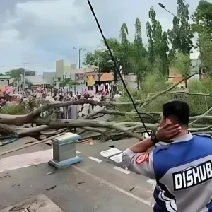 Pohon Beringin Tumbang saat Warga Salat Ied di Pemalang, 2 Orang Tewas dan 15 Luka Pohon Beringin Tumbang saat Warga Salat Ied di Pemalang, 2 Orang Tewas dan 15 Luka