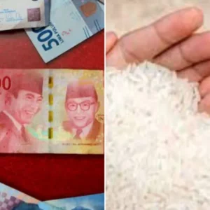 Zakat Fitrah: Uang atau Beras, Mana yang Lebih Optimal?
