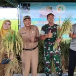 Bentuk Syukur Panen Raya Melimpah: Kades Wonodadi dan Poktan Angkling Darma Gelar Petik Padi