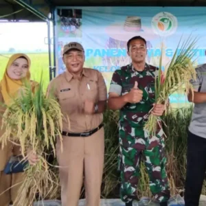 Bentuk Syukur Panen Raya Melimpah: Kades Wonodadi dan Poktan Angkling Darma Gelar Petik Padi