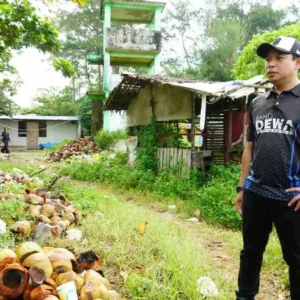 Harapan Baru Pantai Panjang Lebih Tertata dan Lebih Baik Harpan Baru Pantai Panjang Lebih Tertata dan Lebih Baik