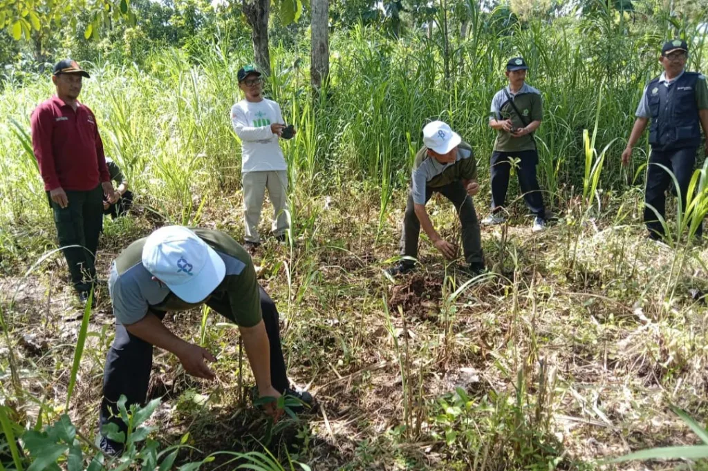Perhutani KPH Blitar Gelar Penanaman 750 Bibit MPTS bersama Kemenag Tulungagung