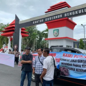Petani Sawit Bengkulu: Penetapan Harga 3140 Cuma Ngeprank Rakyat