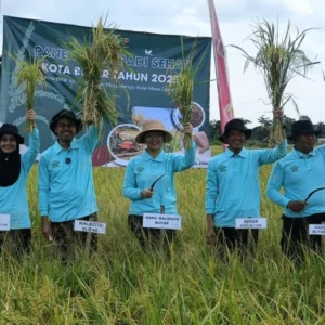 Wali Kota Blitar Pimpin Panen Raya Padi Sehat: Ajak Petani Bersahabat dengan Teknologi Wali Kota Blitar Pimpin Panen Raya Padi Sehat: Ajak Petani Bersahabat dengan Teknologi
