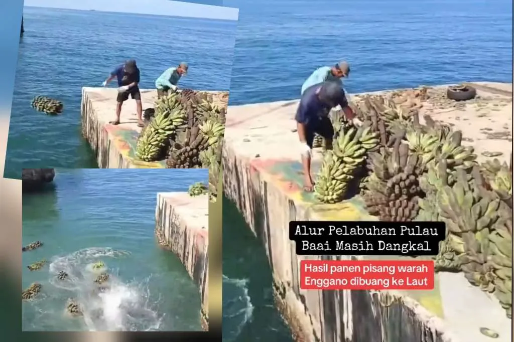 Masyarakat Pulau Enggano Makin Memilukan, Pemerintah Tak Mampu Hadirkan Solusi Cepat