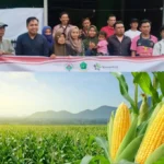 Pemdes Tik Sirong Akan Tanam Jagung dan Kedelai Program Ketahanan Pangan