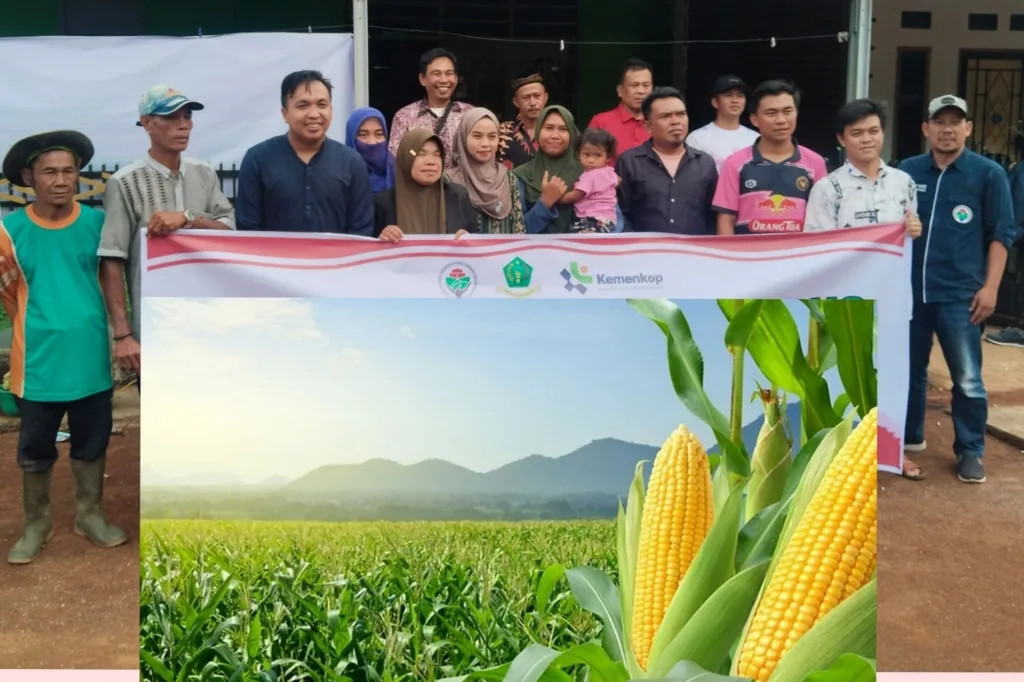 Pemdes Tik Sirong Akan Tanam Jagung dan Kedelai Program Ketahanan Pangan