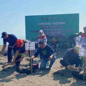 Aksi Tanam 1000 Pohon Cemara, Pemkab Tegal Komitmen Lindungi Pesisir Laut dari Abrasi