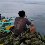 Krisis Transportasi Membunuh Perlahan Enggano: Masyarakat Menjerit, Uang Sudah Tak Bernilai Lagi