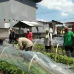 Meningkatkan Kesejahteraan Petani, DKPP Kabupaten Blitar Manfaatkan Dana Cukai 2025