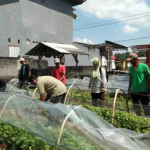Meningkatkan Kesejahteraan Petani, DKPP Kabupaten Blitar Manfaatkan Dana Cukai 2025