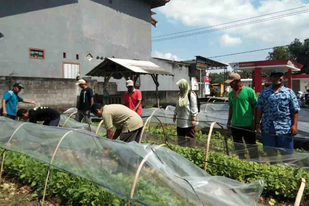 Meningkatkan Kesejahteraan Petani, DKPP Kabupaten Blitar Manfaatkan Dana Cukai 2025