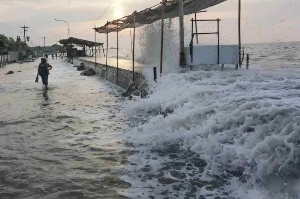 Prediksi Banjir Rob Jakarta: Warga Diminta Siaga 1–2 Hari Kedepan