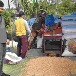 Satgas Pangan Polres Lebong Monitoring Kegiatan Ketahanan