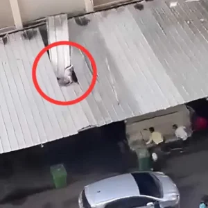 Panik_ODGJ_Masuk_Kamarnya_Wanita_Nekat_Terjun_dari_Lantai_19_Apartemen_Kalibata Panik ODGJ Masuk Kamarnya, Wanita Nekat Terjun dari Lantai 19 Apartemen Kalibata
