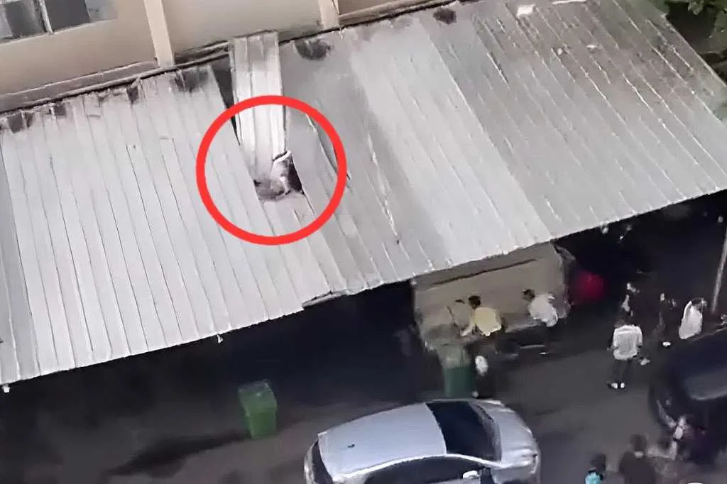 Panik ODGJ Masuk Kamarnya, Wanita Nekat Terjun dari Lantai 19 Apartemen Kalibata